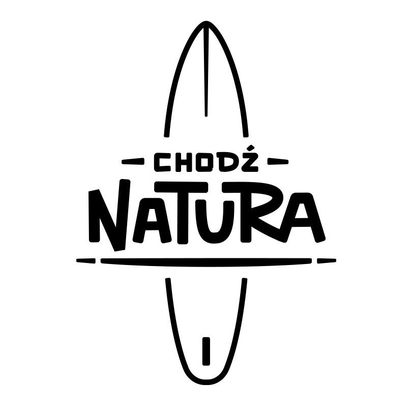 logo-paddle