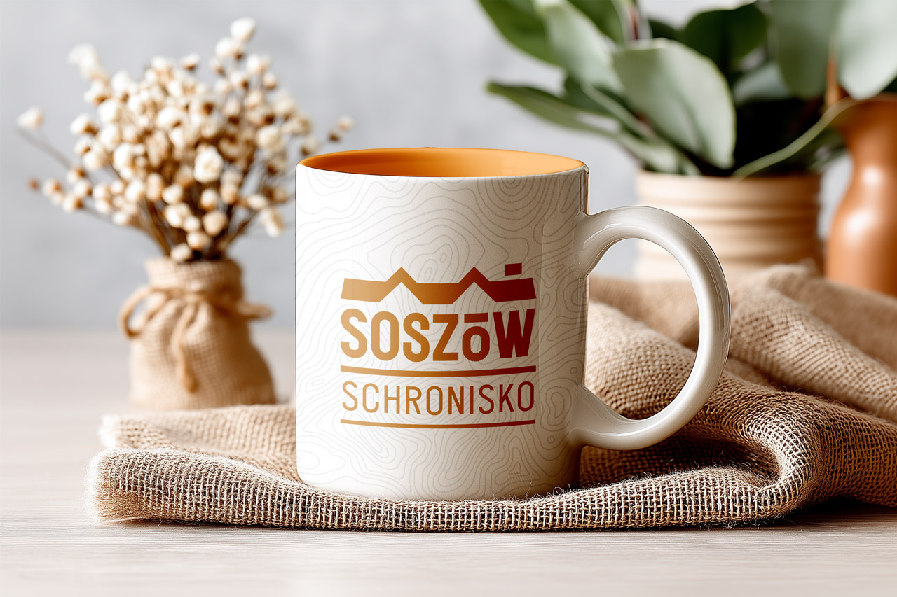 v2-mug